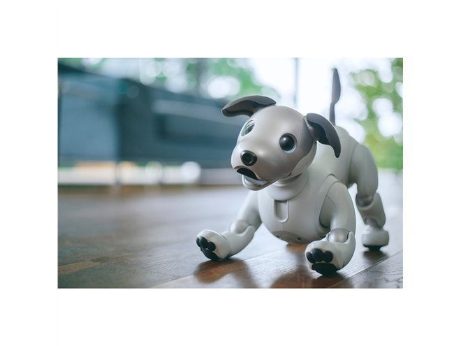 ソニー、オーナーに寄り添うロボット犬「aibo（アイボ）」を198,000円で発売 - 価格.com