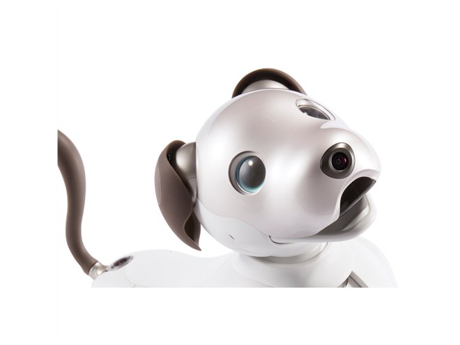 ソニー、オーナーに寄り添うロボット犬「aibo（アイボ）」を198,000円で発売 - 価格.com