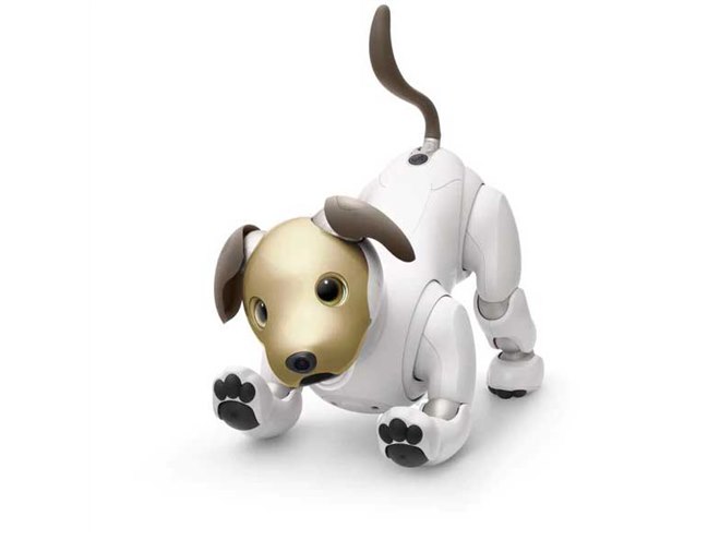 ソニー、「aibo」限定モデルをチャリティオークションとしてヤフオク!に出品 - 価格.com