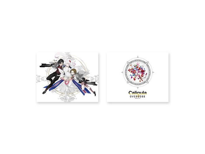 カリギュラ オーバードーズ」コラボのPS4が発売、トップカバー2