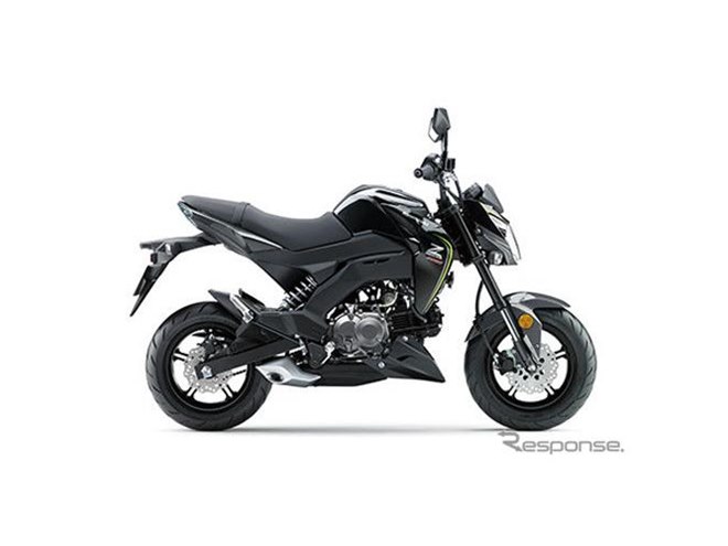 カワサキ Z125プロ、カラー＆グラフィックを変更 - 価格.com