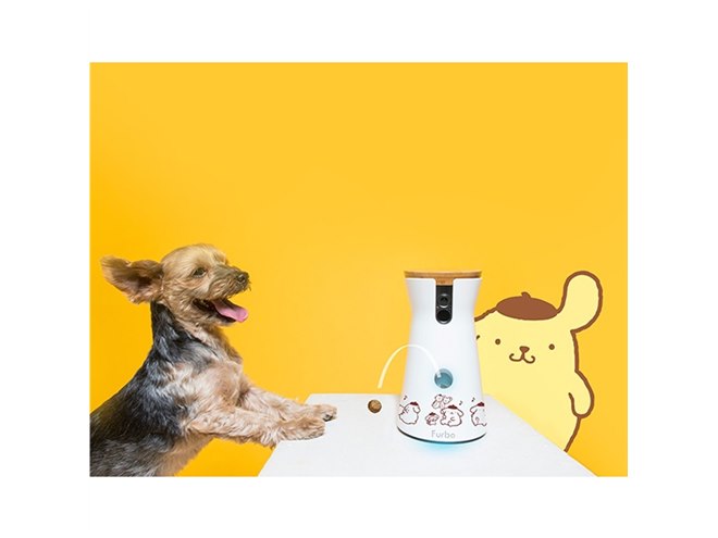 おるすばん”が嫌いな「ポムポムプリン」とドッグカメラ「Furbo」が