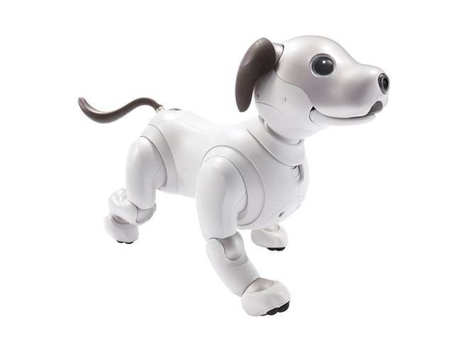 aibo 本体 ☆動作確認済み