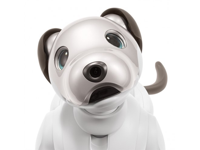 ソニーが「aibo（アイボ）」の予約販売を7/19開始、すべての希望者に提供へ - 価格.com