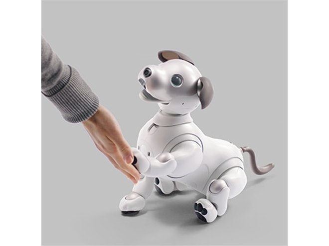 ソニーが「aibo（アイボ）」の予約販売を7/19開始、すべての希望者に提供へ - 価格.com