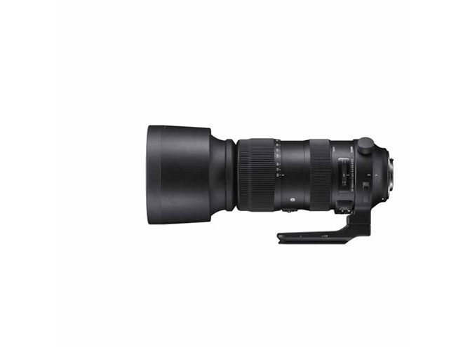 SIGMA - シグマ 60-600mmF4.5-6.3DGOSHSM Sports キヤノン用 Amazon.com : Sigma 60-600mm f/22-32 Fixed Zoom F4.5-6.3 DG