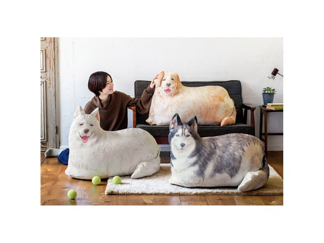 ハスキー犬が自宅に、フェリシモ「大きなワンコの布団収納クッション
