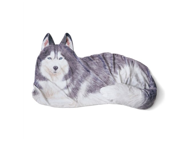 ハスキー犬が自宅に、フェリシモ「大きなワンコの布団収納クッション