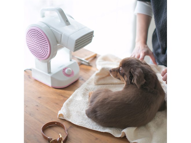 ワンちゃんにもネコちゃんにも、ペット専用の自立型マイナス