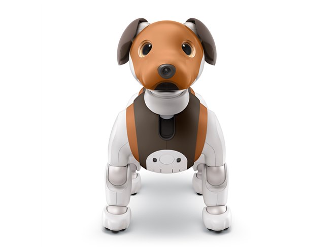 ソニー、aibo（アイボ）の2019年限定カラーモデル「チョコ エディション」発表 - 価格.com