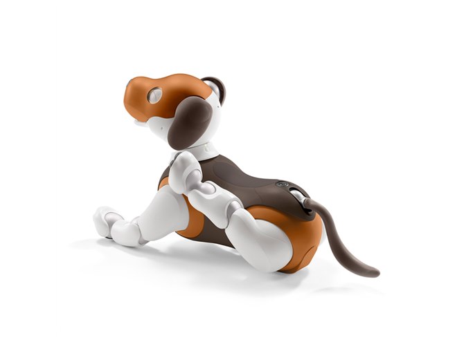 ソニー、aibo（アイボ）の2019年限定カラーモデル「チョコ エディション」発表 - 価格.com