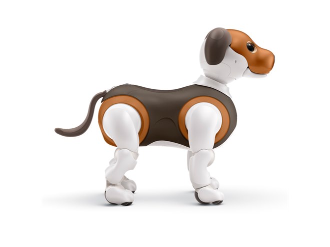 ソニー、aibo（アイボ）の2019年限定カラーモデル「チョコ エディション」発表 - 価格.com