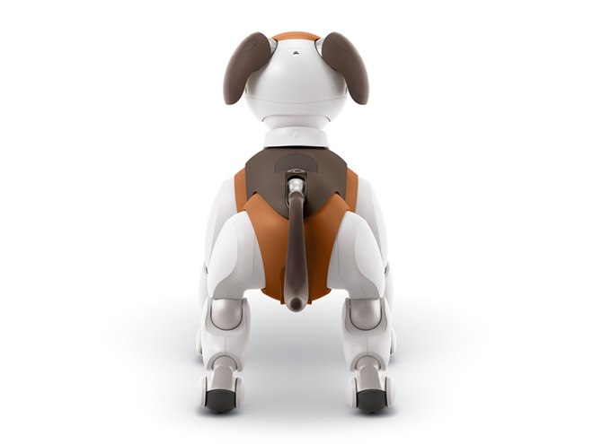 ソニー、aibo（アイボ）の2019年限定カラーモデル「チョコ エディション」発表 - 価格.com