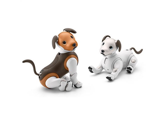 ソニー、aibo（アイボ）の2019年限定カラーモデル「チョコ エディション」発表 - 価格.com