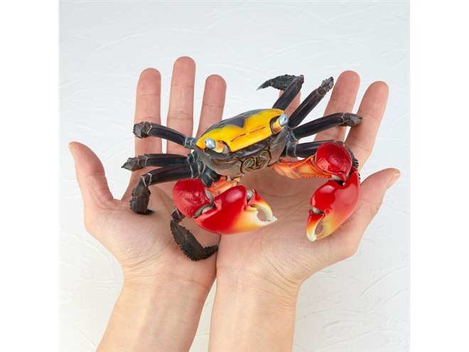 海洋堂、“実物の約2倍”で再現したフィギュア「アカテガニ」を