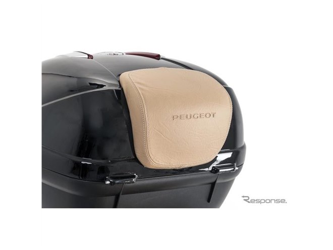 レトロプーさんブラインド　ジャンク品　＊傷、部品破損あり レトロプーさんブラインド ジャンク品 ＊傷、部品破損あり