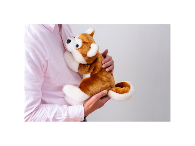 トレンドマスター なでなでワンちゃんHACHI EXコミュニケーションロボ 商品情報 | TRENDMASTER