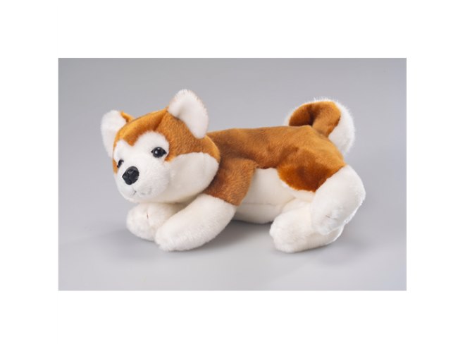 秋田犬「HACHI」のペット型コミュニケーションロボット - 価格.com