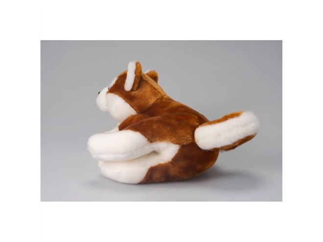 秋田犬「HACHI」のペット型コミュニケーションロボット - 価格.com