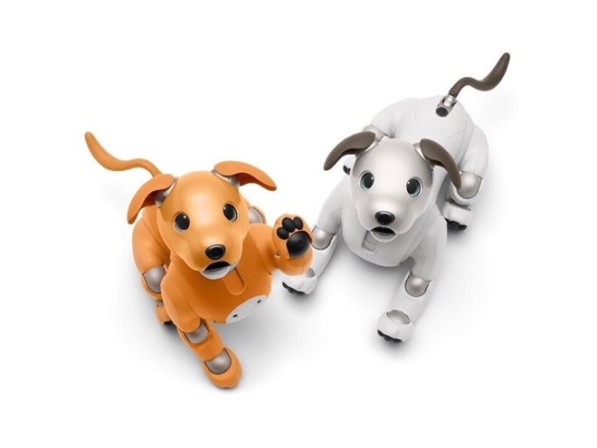 ソニー、aibo（アイボ）の2020年限定カラーモデル「キャラメル エディション」 - 価格.com