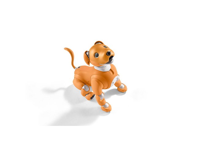 ソニー、aibo（アイボ）の2020年限定カラーモデル「キャラメル エディション」 - 価格.com