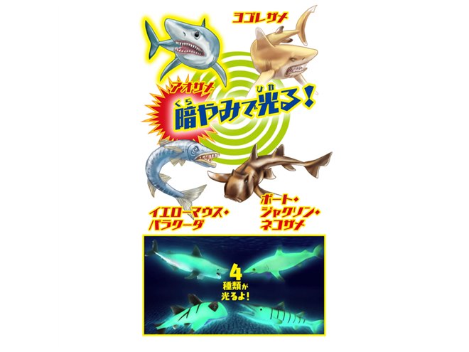 伸びるフィギュア「シャーク＆Co.」、ホオジロザメやアオザメなど全16