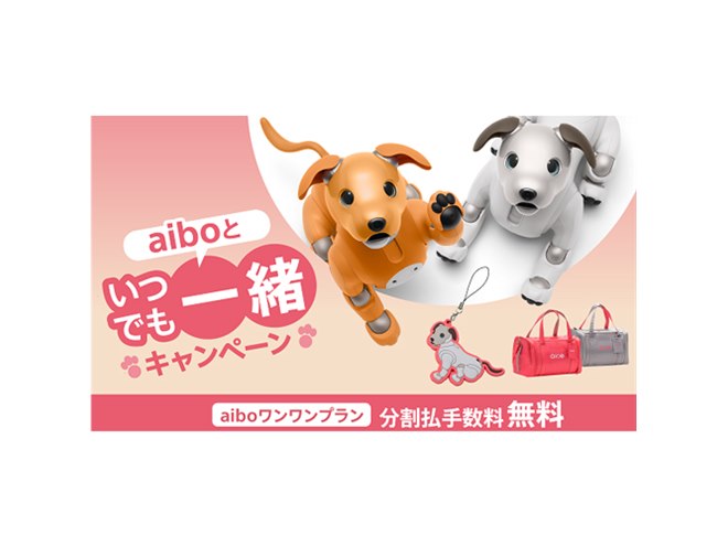 ソニーが「aiboといつでも一緒キャンペーン」開始、5月31日まで - 価格.com
