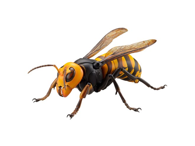 全長18cm、毒針出現ギミック搭載の海洋堂「リボジオ オオスズメバチ