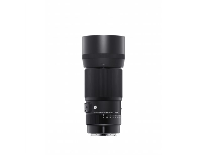 SIGMA 105mm F2.8 DG DN MACROレンズ 260651_5acccfa8c1084228b3a7ed7