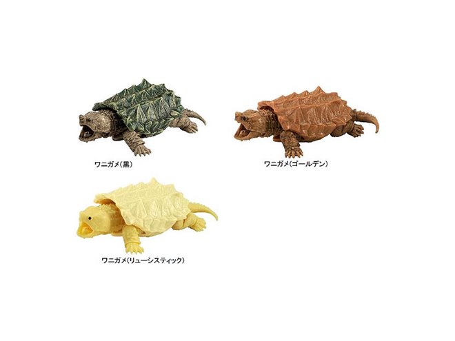 BANDAI - 新品未開封　ガシャポン　 かまきり　すずめばち 01 02　セット Amazon.co.jp: バンダイbいきもの大図鑑 すずめばち02