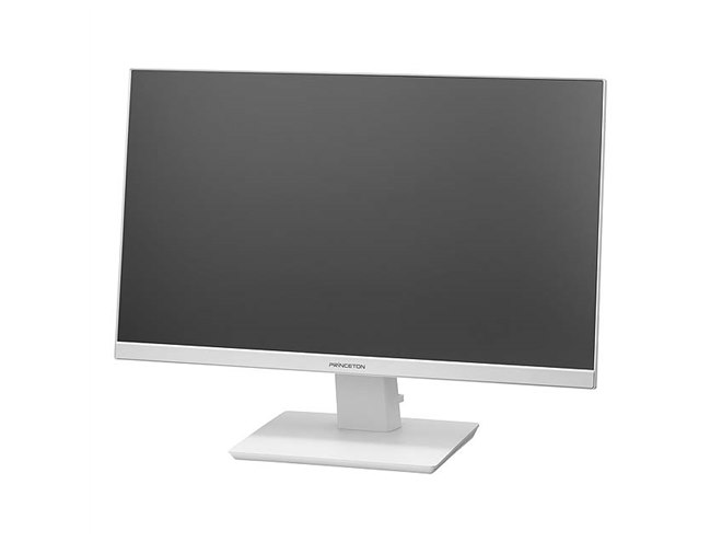 プリンストン、4系統の入力端子を搭載した23.8型液晶ディスプレイ