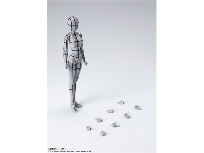 ボディちゃん　ワイヤーフレーム Amazon.com: TAMASHII NATIONS - Body Chan -Wireframe-(Gray
