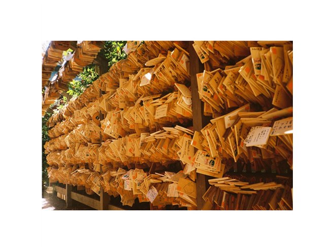 フィルムカメラ「YASHICA MF-2 Super」復刻版の一般販売が開始 - 価格.com