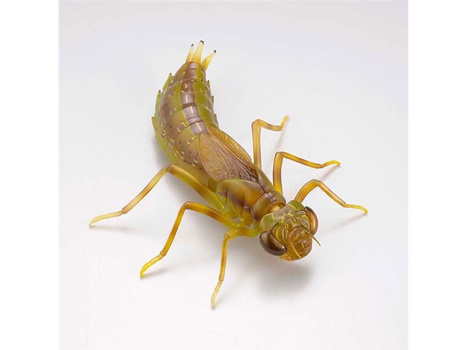 海洋堂、可動生物フィギュアシリーズ「RG005 リボジオ タガメ