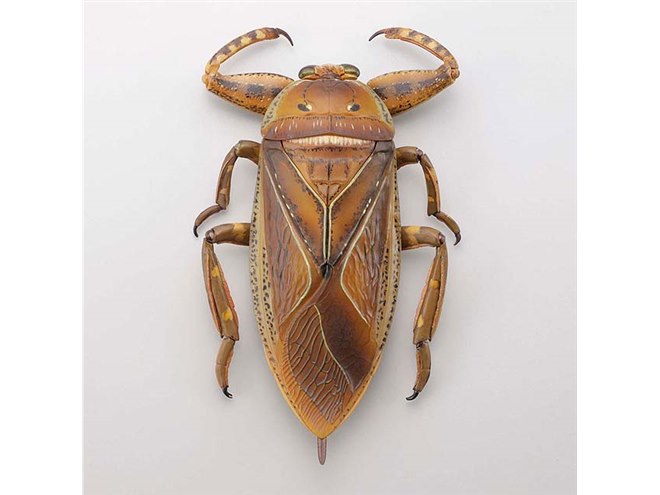 海洋堂、可動生物フィギュアシリーズ「RG005 リボジオ タガメ