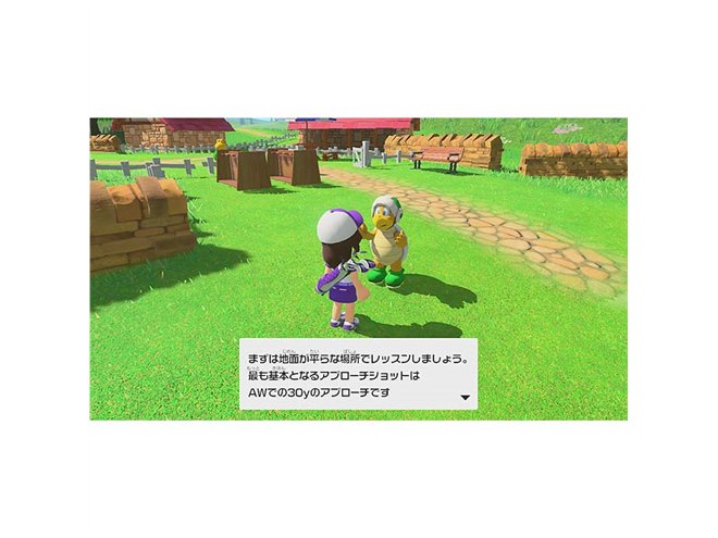 Amazon.co.jp: マリオゴルフ スーパーラッシュ -Switch : ゲーム