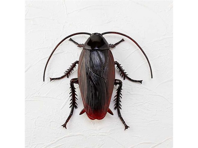 海洋堂、ゾワっとする昆虫のビッグサイズフィギュア「ワンダーカマー
