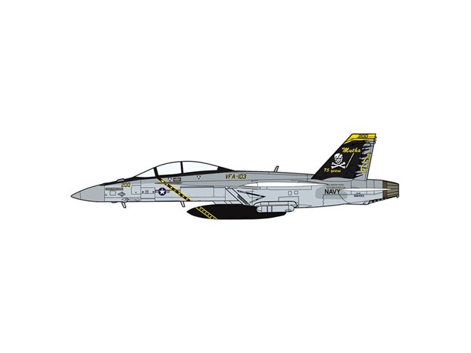 ジョリーロジャース”創設75周年「F/A-18F」特別マーキング機を