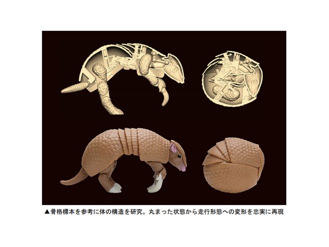 ガシャポン「だんごむし」シリーズに初の哺乳類「ミツオビ