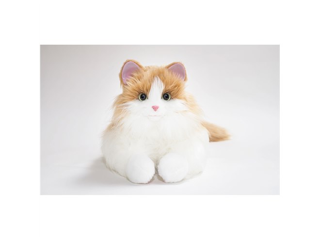 しっぽふりふり　あまえんぼうねこちゃん ねこちゃん | DIGIRECT Co.,Ltd