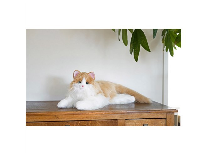 名前をつけると反応する「しっぽふりふり あまえんぼうねこちゃん」 新