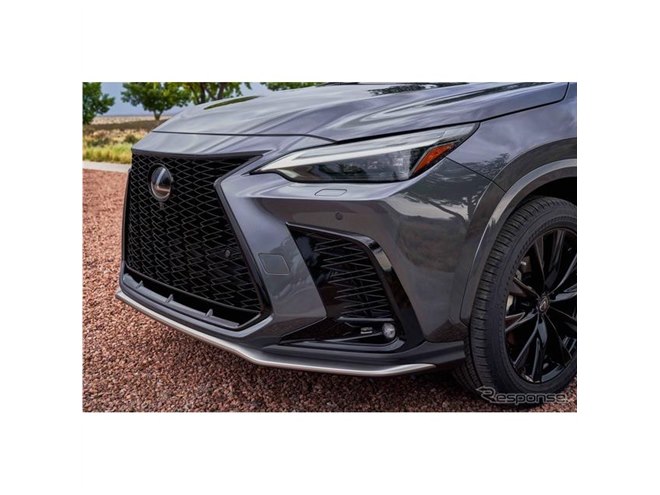 レクサス　ベア　Fスポーツ レクサス ベア Fスポーツ