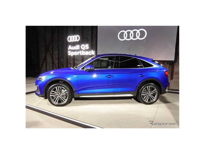 カイシンさん専用　アウディQ5 1本 アウディ Q5 ハイスタイル 限定250台【ワンプライス車両 】1