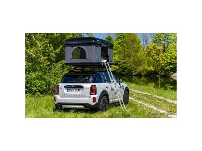 アクラス スロ43 シングルルーフ 淡緑帯 リベット無し ぶどう2号