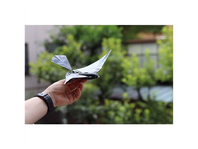 �uMetaBird�v