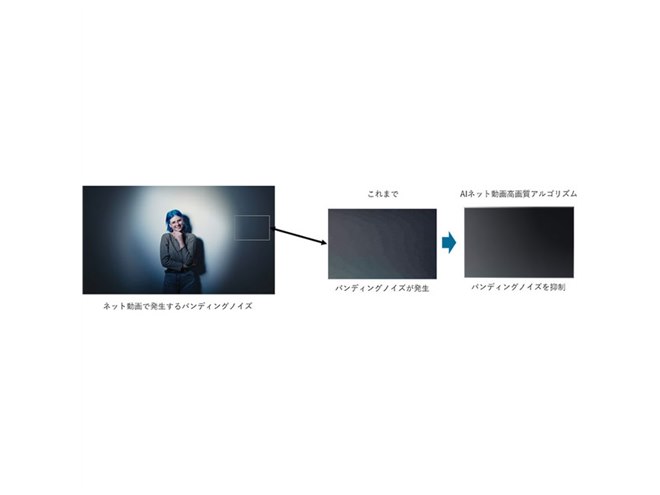 超高速画像処理の実際 世界最高レベルのカラーバランスと超高解像を実現した究極のPL