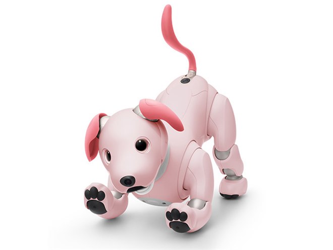 ソニー「aibo（アイボ）」2022年カラーは「いちごミルク」、限定ダンスも用意 - 価格.com