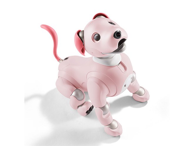 ソニー「aibo（アイボ）」2022年カラーは「いちごミルク」、限定ダンスも用意 - 価格.com