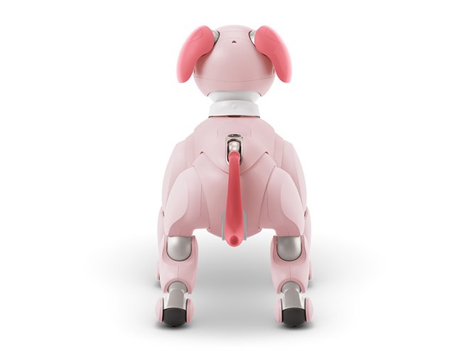 ソニー「aibo（アイボ）」2022年カラーは「いちごミルク」、限定ダンスも用意 - 価格.com