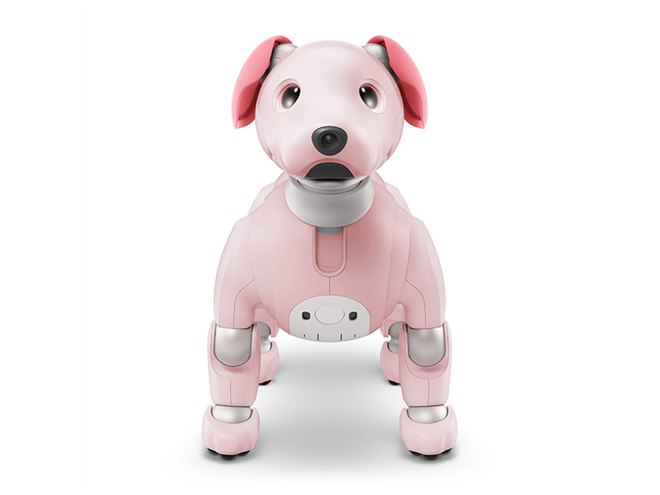 ソニー「aibo（アイボ）」2022年カラーは「いちごミルク」、限定ダンスも用意 - 価格.com